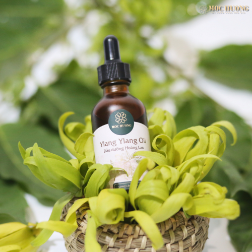 MỘC HƯƠNG - Dầu dưỡng body hoàng lan (50ml)