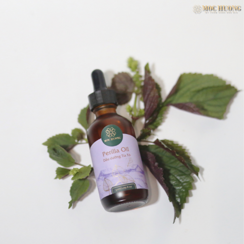 MỘC HƯƠNG - Dầu dưỡng body tía tô (50ml)